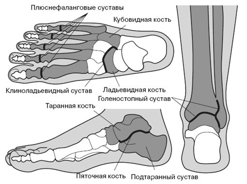 Гленн Коуплэнд, Стэнли Соломон - Все о здоровье ваших ног. От младенчества до...