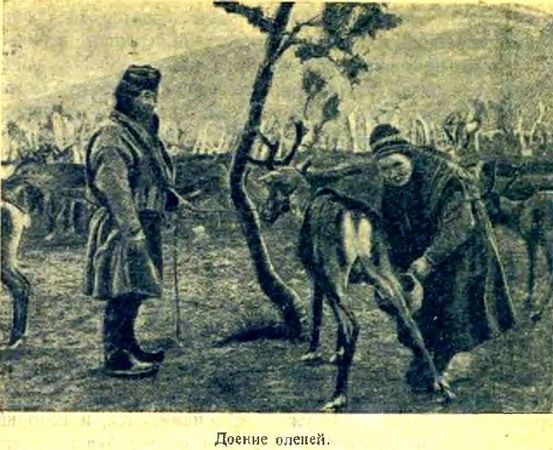 Николай Лебедев - Арктика