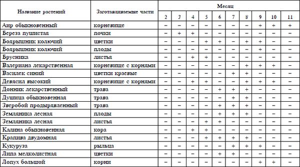 Владимир Онищенко - Справочник травника