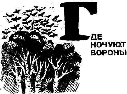 Анатолий Устюгов - В бобровом краю