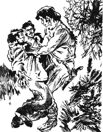 Роберт Говард - Джентльмен с Медвежьей речки (сборник)
