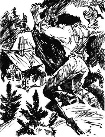 Роберт Говард - Джентльмен с Медвежьей речки (сборник)