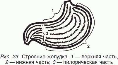 Геннадий Малахов - Целительные силы. Книга 1