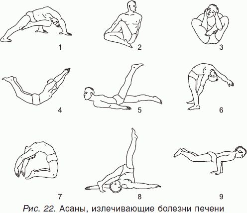 Геннадий Малахов - Целительные силы. Книга 1