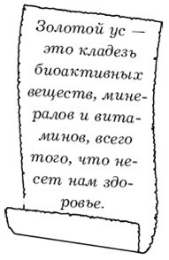 Юлия Назина - Диабет. Лучшие рецепты народной медицины от А до Я