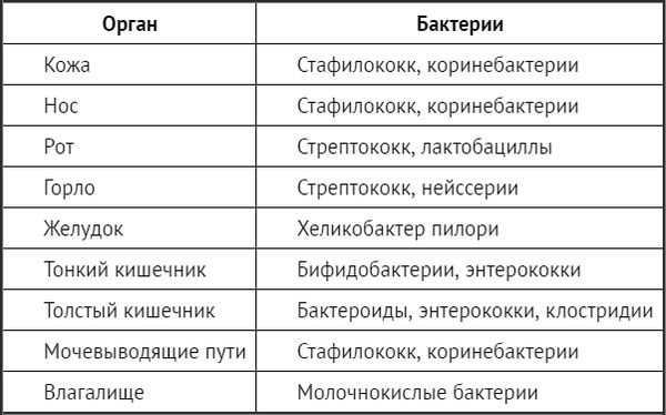 Робин Чаткан - Жизнь кишечника. Борьба за бактерии