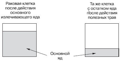 Марк Жолондз - Рак практика исцеления и профилактика. Лечение ядами