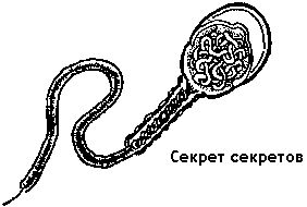 Мантэк Чиа, Майкл Винн - Совершенствование мужской сексуальной энергии