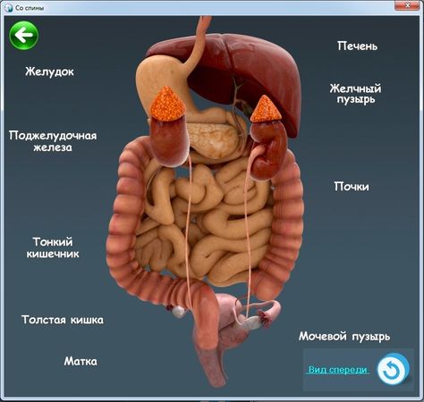 Виктор Гаврилов - Древние практики славянских знахарей