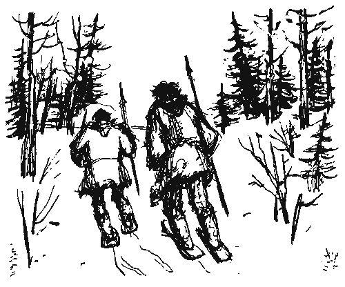 Александр Линевский - Листы каменной книги