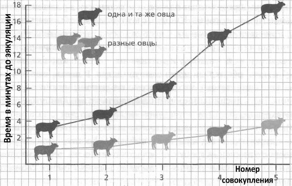 Филип Зимбардо, Никита Коломбе - Мужчина в отрыве