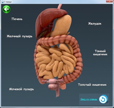 Виктор Гаврилов - Древние практики славянских знахарей