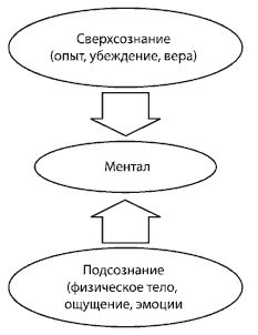 Анжелика Резник, Ксения Меньшикова - Управляем энергией мысли. Овладеваем...