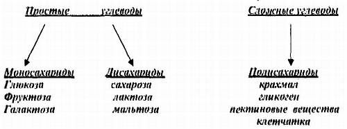 Юрий Буланов - Анаболизм с инсулином II