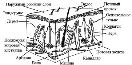 Лариса Коробач - Салон красоты на дому