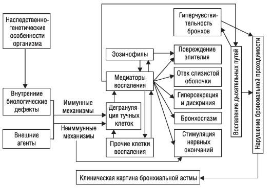 Владимир Маколкин, Светлана Овчаренко - Внутренние болезни