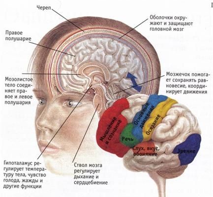 Светлана Штейникова - Как построить дом здоровья, счастья и богатства....
