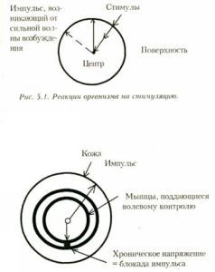 Александр Лоуэн - Психология тела. Биоэнергетический анализ тела