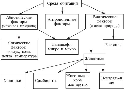 Светлана Николаева - Система экологического воспитания дошкольников