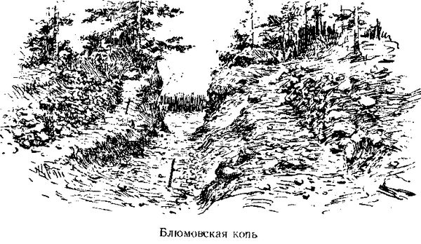 Софья Лялицкая - Следопыты Ильменских гор