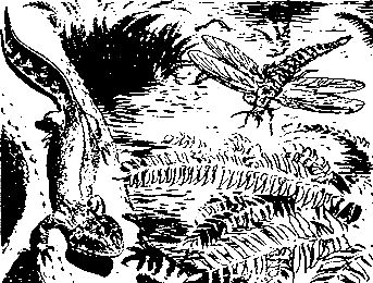 Йозеф Аугуста - Исчезнувший мир (Рисунки З. Буриана)