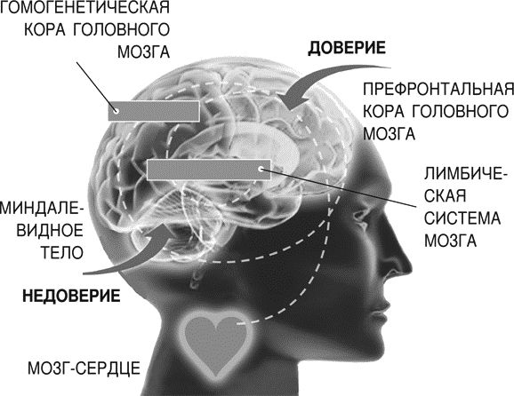 Джудит Глейзер - Идеальные переговоры