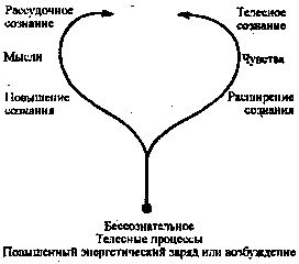 Александр Лоуэн - Терапия, которая работает с телом