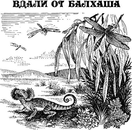 Павел Мариковский - Забытые острова