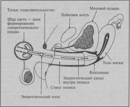 Николай Шерстенников - За гранью наслаждения