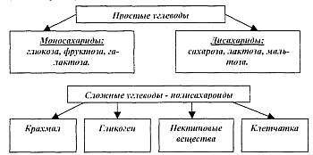 Юрий Буланов - Питание мышц