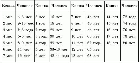 Мария Дорош - Ветеринарный справочник для владельцев кошек