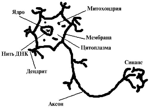 Серж Гингер - Гештальт: искусство контакта. Новый оптимистический подход к...