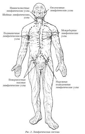 Грегор Хмара - Массаж