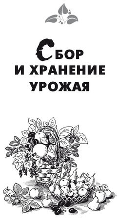 Максим Жмакин - Выращивание основных видов плодовых и ягодных культур...
