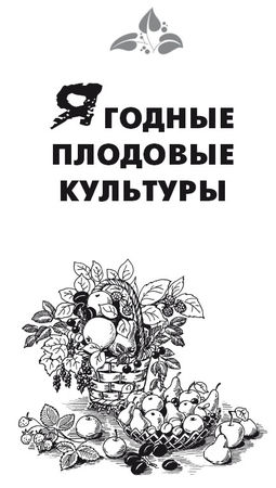 Максим Жмакин - Выращивание основных видов плодовых и ягодных культур...