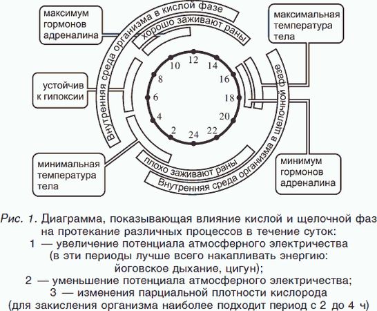 Геннадий Малахов - Целительные силы. Книга 2
