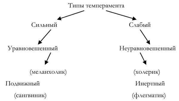 Сергей Шапиро - Как построить идеальную карьеру