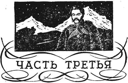 Николай Задонский - Последние годы Дениса Давыдова