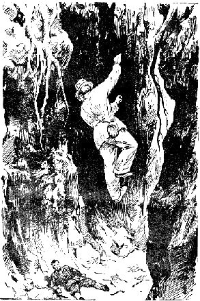 Виктор Сапарин - Однорогая жирафа (сборник)