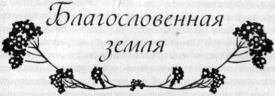 Виктория Холт - Украденные ночи