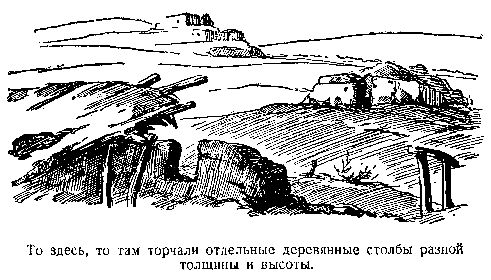 Владимир Обручев - В дебрях Центральной Азии. Записки кладоискателя