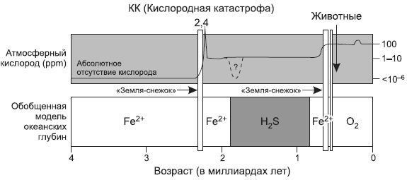 Питер Уорд, Джозеф Киршвинк - Новая история происхождения жизни на Земле