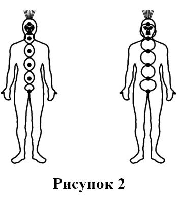 Виктор Руденко - Руководство по устройству, эксплуатации и ремонту Человека