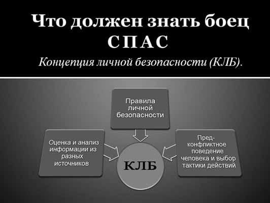 Константин Воюшин - Книга СПАС. Твоя жизнь - в твоем желании жить, или Как жить...