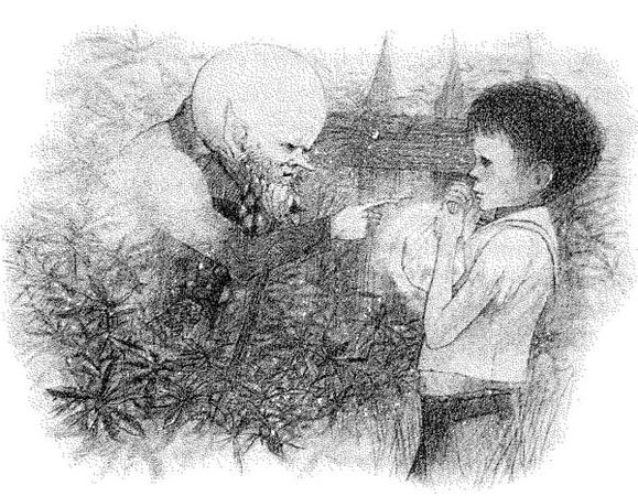 Роальд Даль - Джеймс и Персик-великан