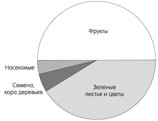 Виктория Бутенко - Зелень для жизни. Реальная история оздоровления