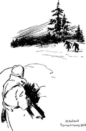 Орест Мальцев - Венгерские рассказы