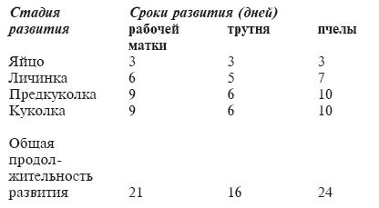 Юрий Харчук - Ферма на дому