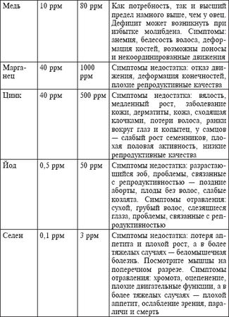 Юрий Харчук - Ферма на дому